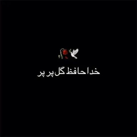 دانلود آهنگ پر پروازمو چیدن گل قلبم از هوروش بند دانلود آهنگ پر پروازمو چیدن گل قلبم از هوروش بند